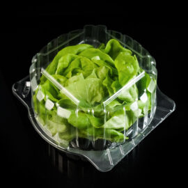 R-PET Boston Lettuce Clamshell